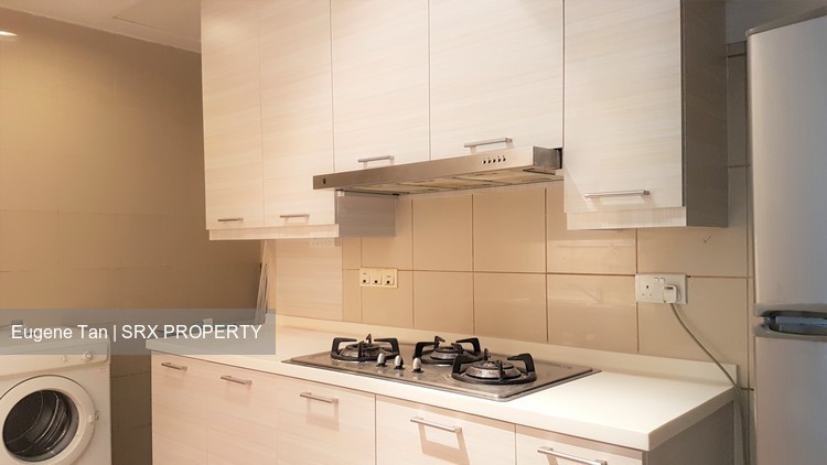 Valley Park (D10), Condominium #179390472
